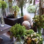 Nicolai Bergmann NOMU - 