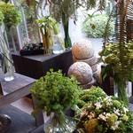 Nicolai Bergmann NOMU - 