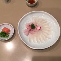 かぐら坂 志満金 - 鰈の薄造り
