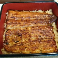 鰻割烹 伊豆栄 本店 - 肉厚です。