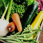 すずの木カフェ - 