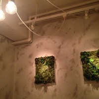 代官山焼肉 kintan - 