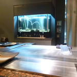 鉄板焼 十河 - 内観　水槽が・・