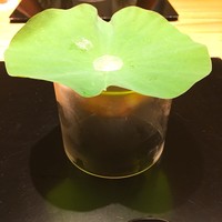 西麻布 いちの - 