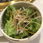 肉の匠 将泰庵 - チョレギ味サラダ