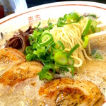 博多 くまちゃんらぁめん - 