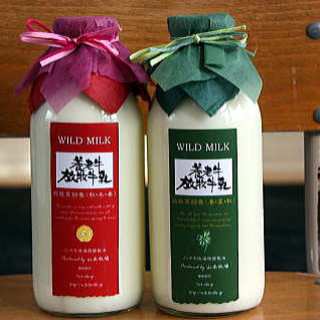 ジェラテリア ジェリーム_1