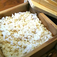 浅草むぎとろ 本店 - 
