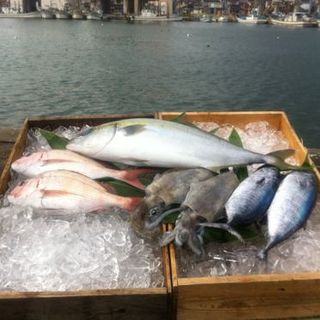富山県氷見より直送の鮮魚