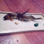 りょうりや 御旅屋 - 琵琶湖　天然鮎