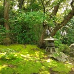 慈光院 - お庭 独り占め