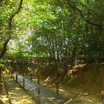 慈光院 - 一之門を入って