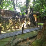 慈光院 - 石畳を進むと