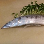 創作鉄板料理とワインを楽しむ店 ～渋谷 居酒屋 花花～ - 旬の鮮魚を仕入れてます