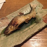神田 いるさ - 