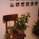 ペドラ ブランカ - 