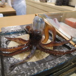 鮨棗 - 踊る！(2016年7月)