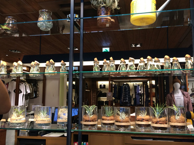 Kissa Master Oosakaten photo 5