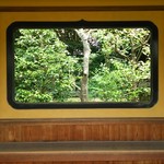 慈光院 - 本堂に行く廊下にありました