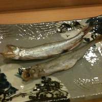 鮨 いとう - 鵡川柳葉魚