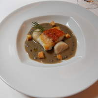 Ristorante YAMAZAKI - 尾長鯛