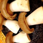 東京肉しゃぶ家 - 