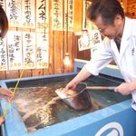 魚がし酒場 魚せん - 