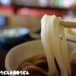 田舎うどん てつ - 2016年7月　うどん　アップ