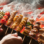 6 skewers (3 types)