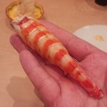 三谷 - 天然クルマエビ