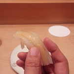 三谷 - アオリイカ