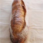 レタンプリュス - 