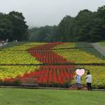 ウッドランドカフェ - リフト乗り場脇の花畑にはベストショット枠が(^.^)