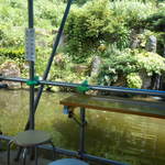 日本一うまいところてん - 