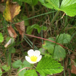 六甲山のオーベルジュnaare - 