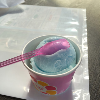 アイス・デ・ライオン_1