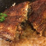 Unagi Nanatsuboshi - うな丼