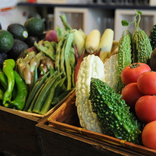 “美味しく、健康に”“大地の恵みに感動”こだわりの野菜