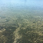 料理旅館　木村屋 - 