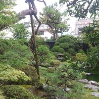 吉亭 - 