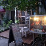 金魚CAFE - 代々木駅から徒歩２分