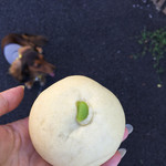 天然酵母パン プロテア - 