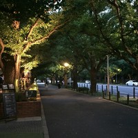 キハチ 青山本店 - 