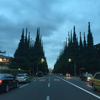 キハチ 青山本店 - 