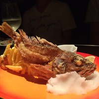 MAIMON GINZA - 