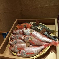 のど黒屋 新橋店 - のど黒たち