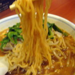 麺覇王 - 世界一坦々麺：麺アップ
