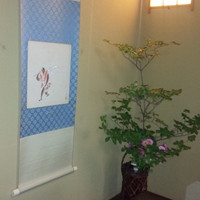 赤坂とゝや魚新 - 