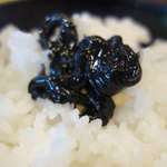 Toyama Chitetsu Hoteru - 特に美味しかったのは富山のご飯と、塩辛ならではの生臭さが気にならないホタルイカの黒作りが美味しく、思わずオン・ザ・ライスしてしまうたくなる美味しさです。