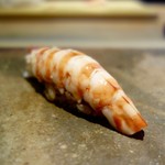 菊鮨 - ［2016/07］寿司⑧ 大分産車海老の握り 赤酢